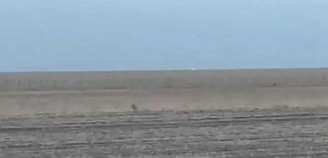 中蒙邊境線明火已被撲滅，為什么蒙古那么容易發(fā)生草原火災(zāi)？