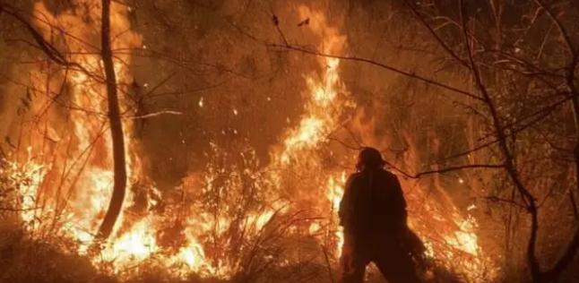明火已撲滅，初步判斷由祭祀用火引發(fā)！今年已發(fā)生多起