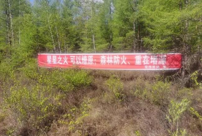 呼中林業(yè)局宏偉林場(chǎng)&ldquo;四個(gè)到位&rdquo;確保補(bǔ)植補(bǔ)造期間森林防火安全